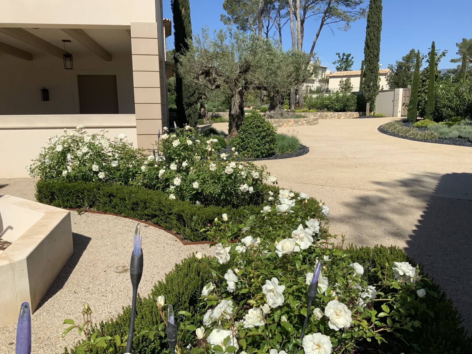 Aménagement paysager complet avec plantations  Sainte Maxime dans le Var 83