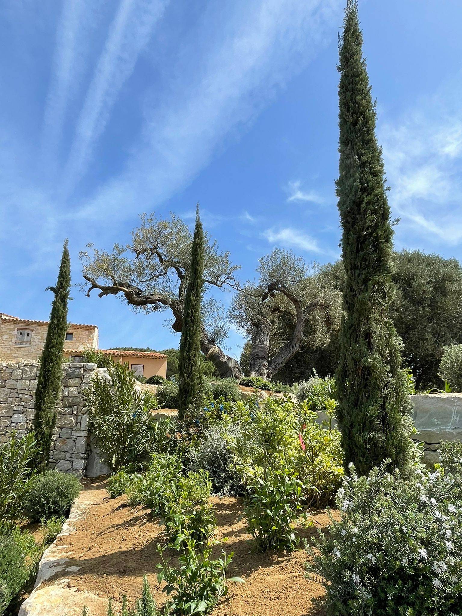 Jardin méditerannéen sur Saint Tropez