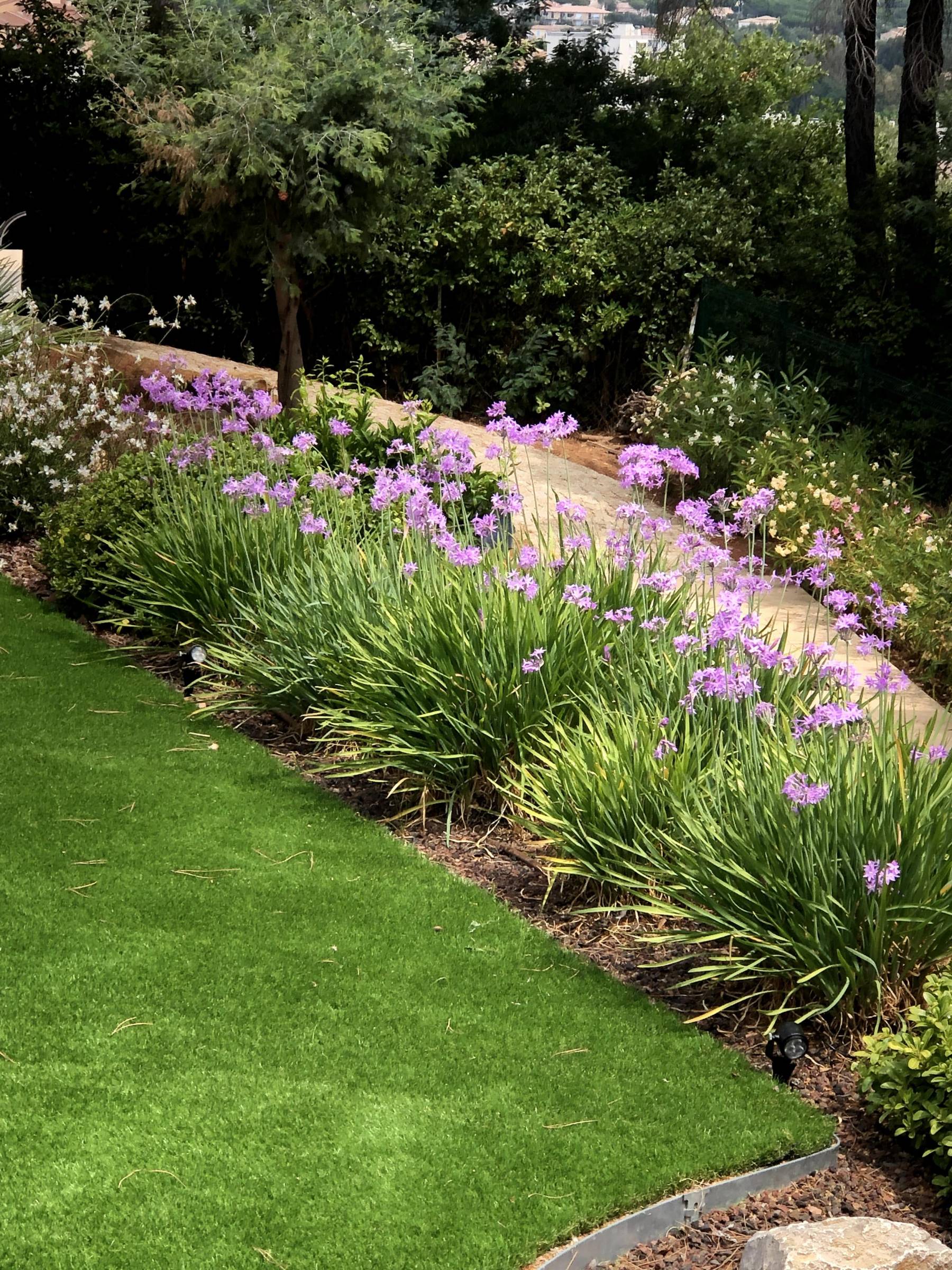 Gazon synthetique et plantations sur Ste Maxime