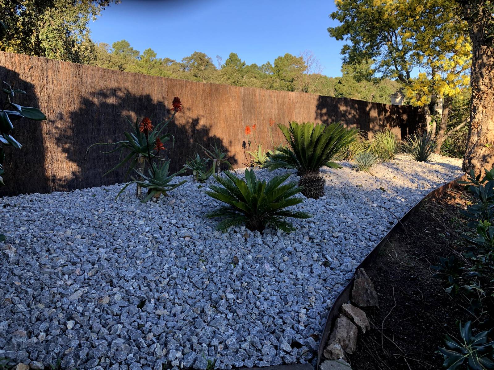 Clôture avec brande de bruyère sur Fréjus
