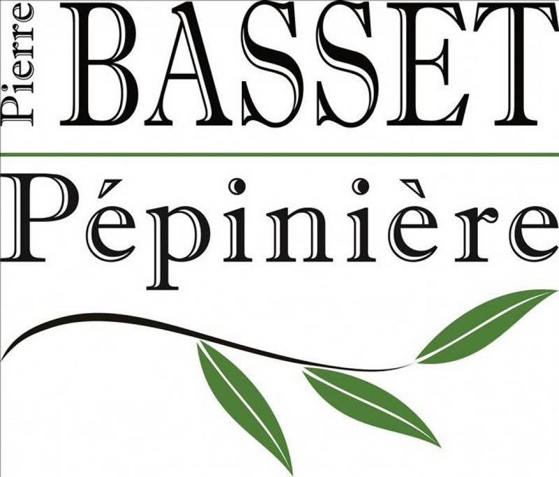 PEPINIERE BASSET